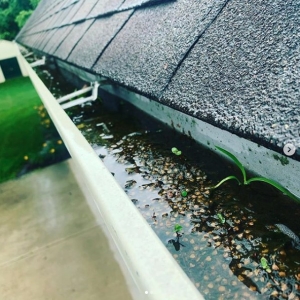 Photo of GLC Gutters