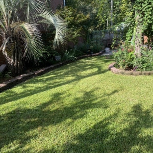 Photo of TopNotch Lawn Services
