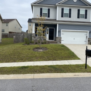 Photo of TopNotch Lawn Services