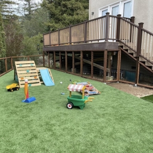 Photo of Sillicon Valley Turf