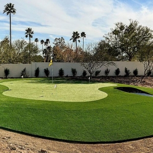 Photo of Celebrity Greens