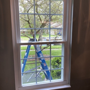 Photo of Freedom Windows