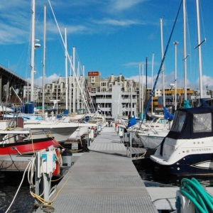 Photo of Northlake Marina