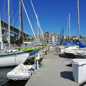 Photo of Northlake Marina