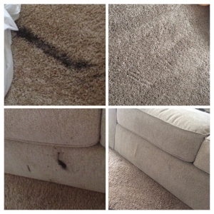 Photo of Imperial Carpet Cleaning