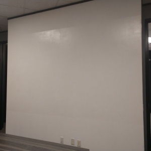Photo of A1 Painting of Houston