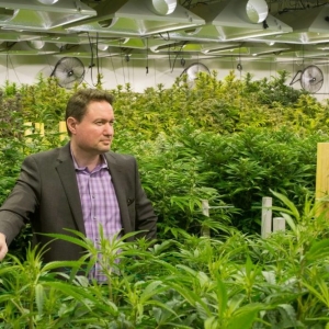 Seattle Cultiva Law