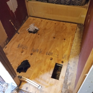 Photo of Justin Frank Handyman