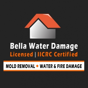 Photo of Bella Water Damage