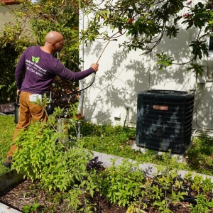 Photo of Natural Resources Pest Control Miami