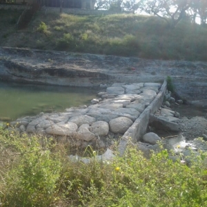 Photo of Diggin' Texas Enterprises