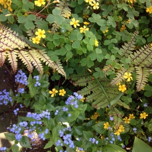 Photo of Thumbellina Gardens