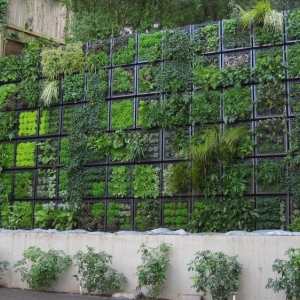 Photo of Thumbellina Gardens