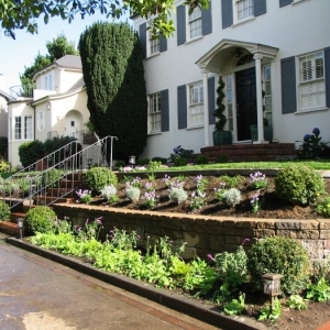 Photo of Thumbellina Gardens