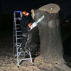 Photo of Dallas Live Edge