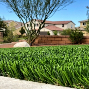 Photo of Biltright Turf