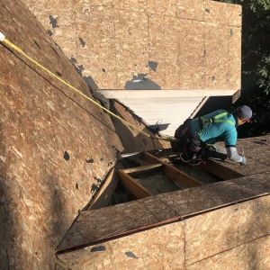 Kirkland Black Diamond Renovators