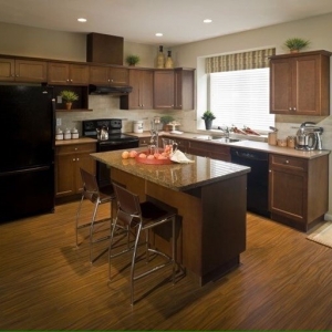 Photo of All In 1 Cleaning Services