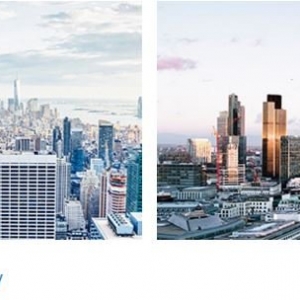 New York MSD Partners