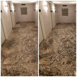 Photo of Click Carpet, Rug And Upholstery Cleaning Queens