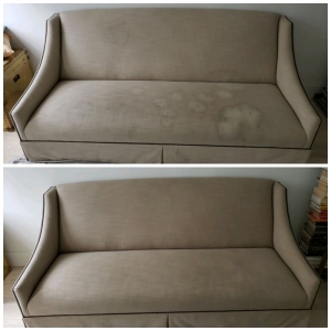 Photo of Click Carpet, Rug And Upholstery Cleaning Queens