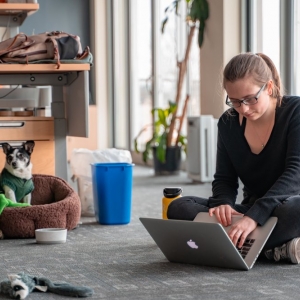 Seattle Wheelhouse Digital Marketing Group