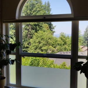 Photo of Pure Green Clean