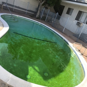 Photo of Commercial Pool & Spa Services