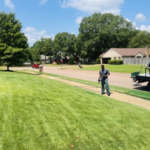 Photo of Safari Lawn Care