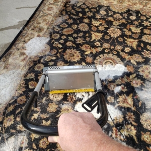 Photo of Steam Clean Guyz