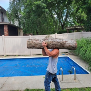 Monaca Bauman's Tree Service