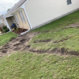 Photo of Agronomic Lawn Management