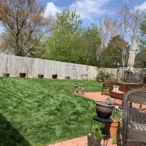 Photo of Agronomic Lawn Management