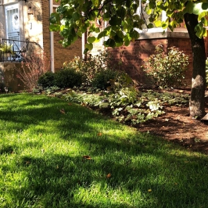 Photo of Greenlawn Landscaping