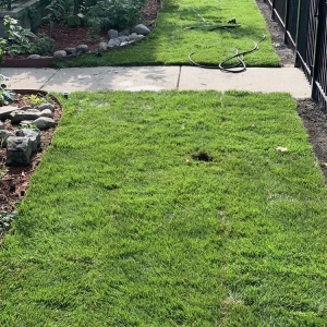 Photo of Greenlawn Landscaping
