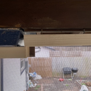 Photo of Elite Renovators