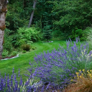 Photo of All American Landscaping & Maintenance