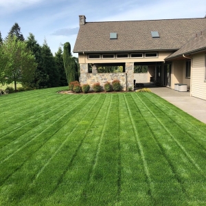 Photo of All American Landscaping & Maintenance