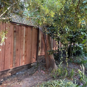 Photo of Rescino Fence