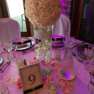 Photo of Elegant Events