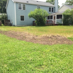 Photo of Remove a Pool