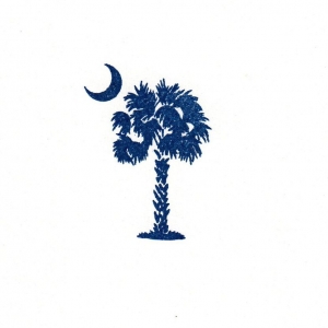 Photo of Palmetto Cleaning Solutions