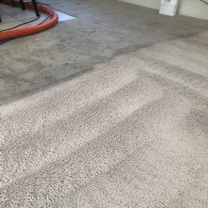 Photo of Cleaner Carpets