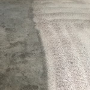 Photo of Cleaner Carpets