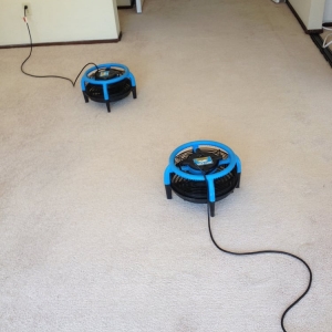 Photo of Cleaner Carpets