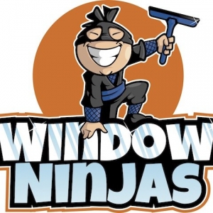 Photo of Window Ninjas