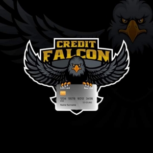 Photo of Credit Falcon