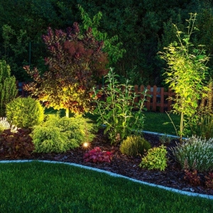 Photo of Vision Green Landscape