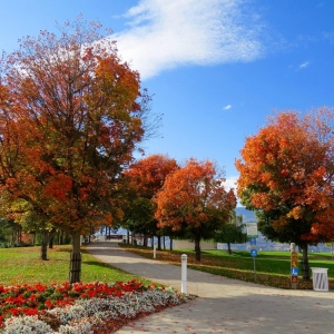 Photo of Vision Green Landscape