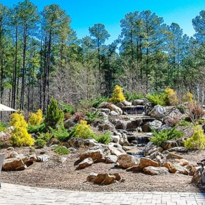 Photo of Vision Green Landscape
